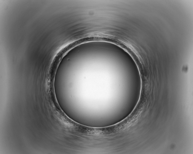 X0000099510971200805221418