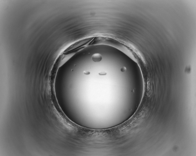 X0000099510972200805221418
