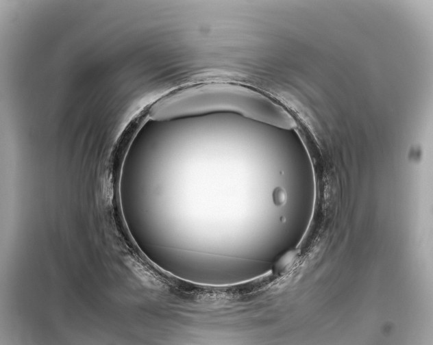 X0000099510973200805221418