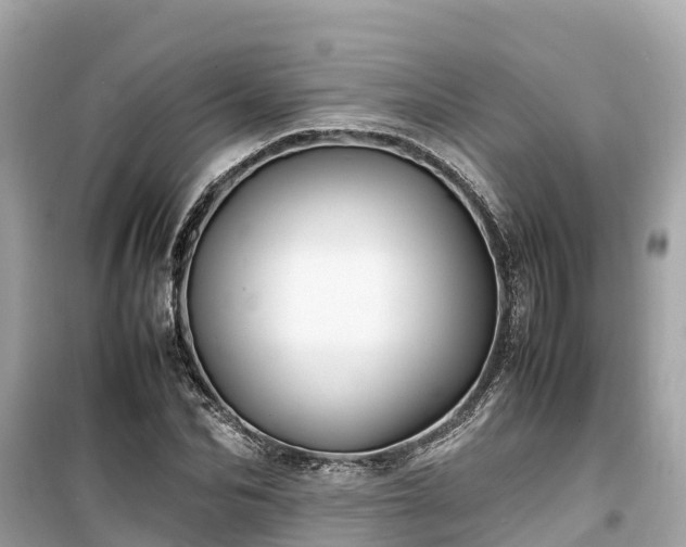 X0000099510974200805221418
