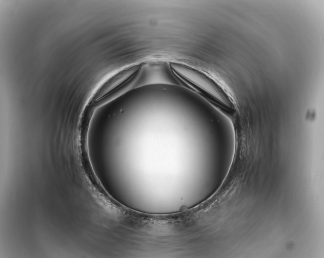 X0000099510976200805221418