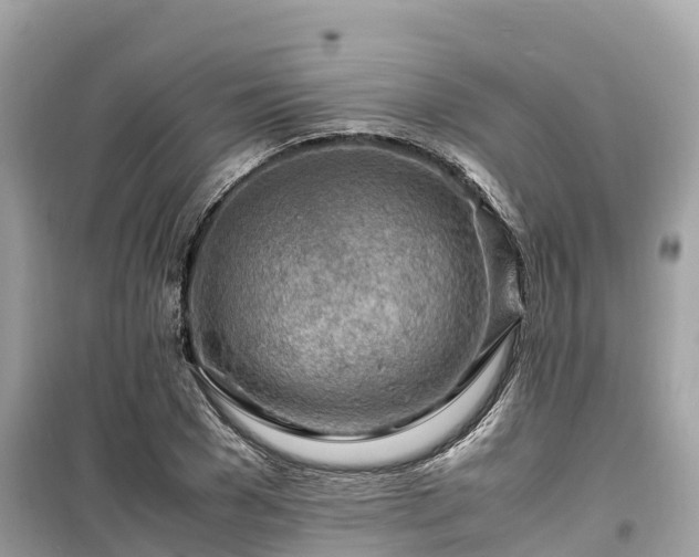 X0000099510977200805221418