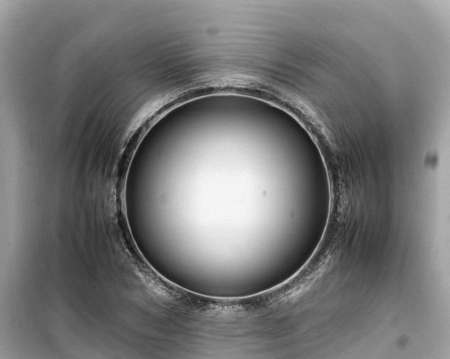 X0000099510978200805221418