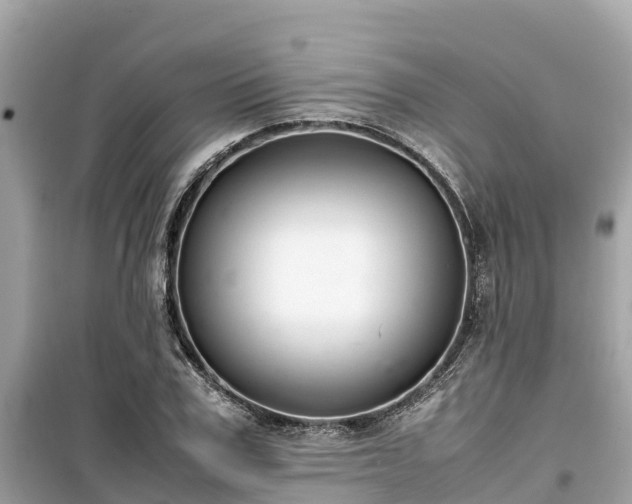 X0000099510979200805221418