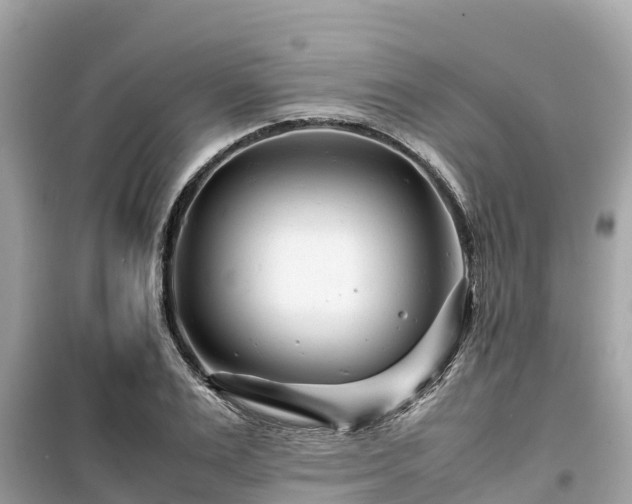 X0000099510983200805221418