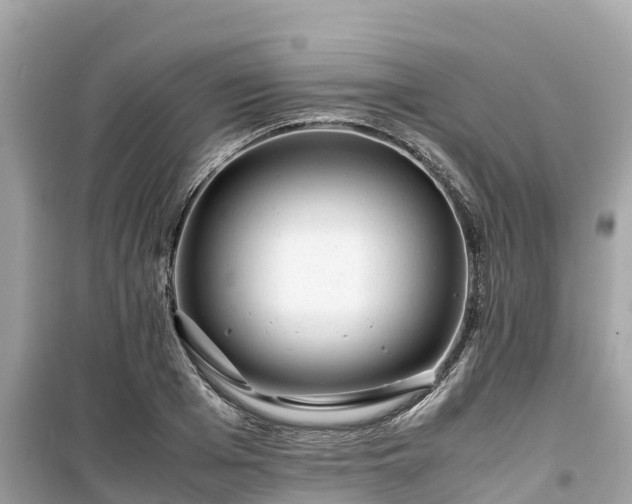 X0000099510985200805221418