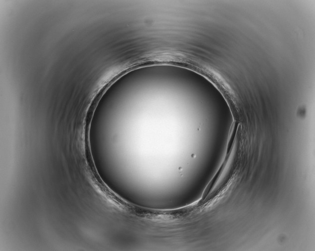 X0000099510986200805221418