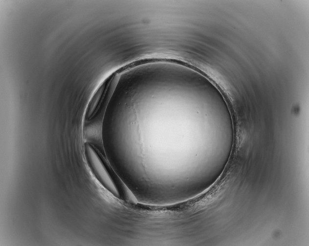 X0000099510988200805221418