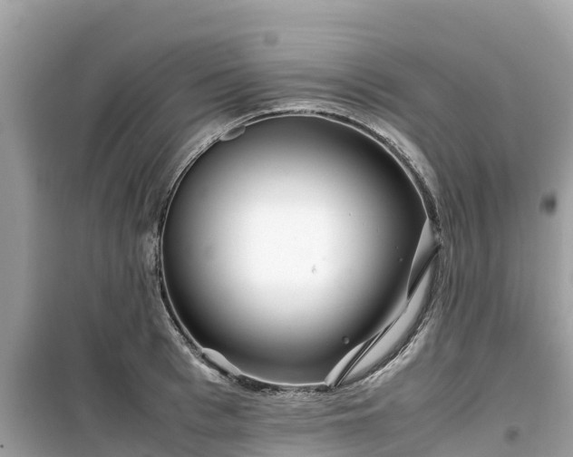 X0000099510993200805221418