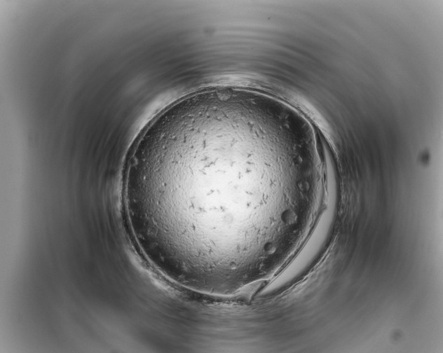 X0000099510994200805221418