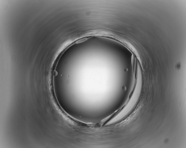 X0000099510997200805221418