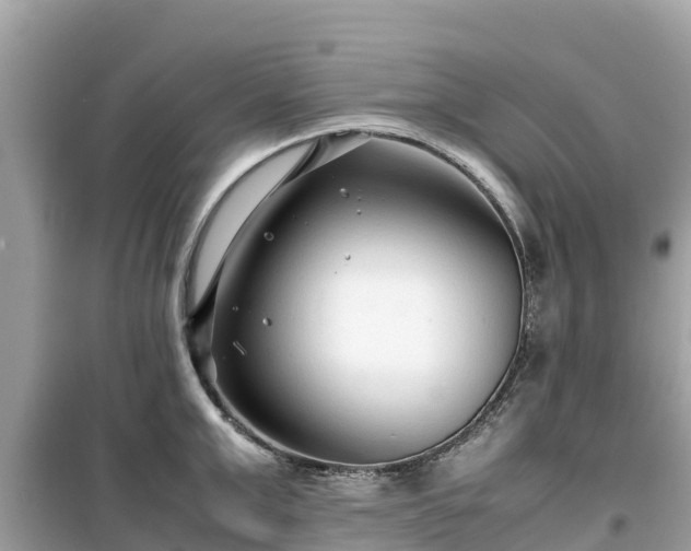 X0000099510999200805221418