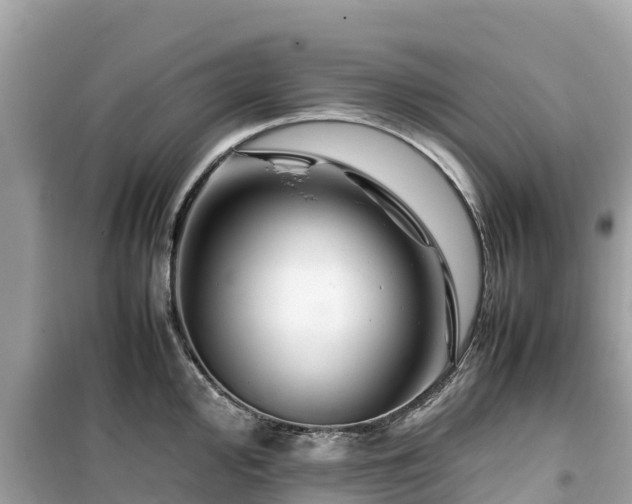 X0000099511000200805221418