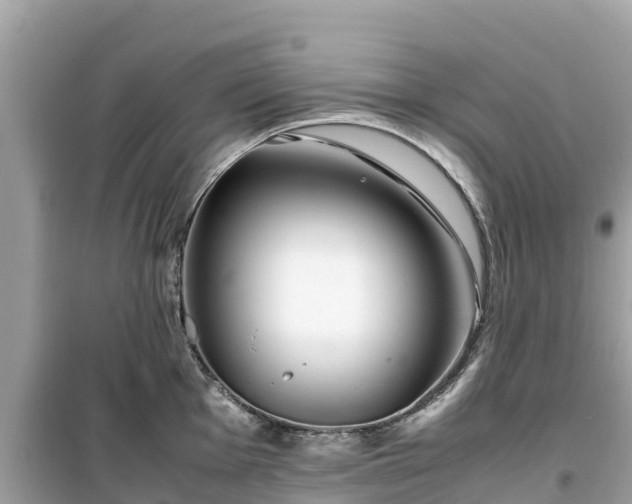 X0000099511001200805221418