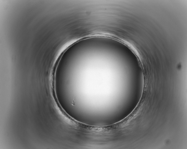 X0000099511003200805221418
