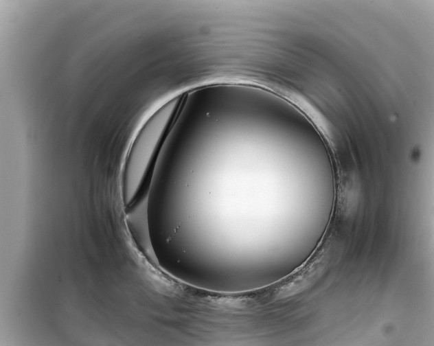 X0000099511004200805221418
