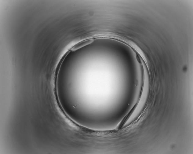 X0000099511005200805221418