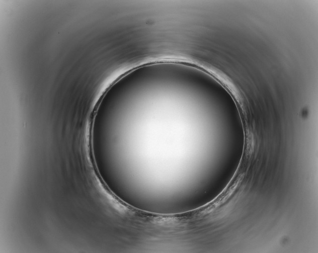 X0000099511006200805221418