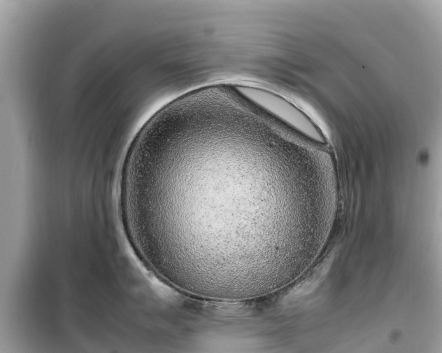 X0000099511007200805221418