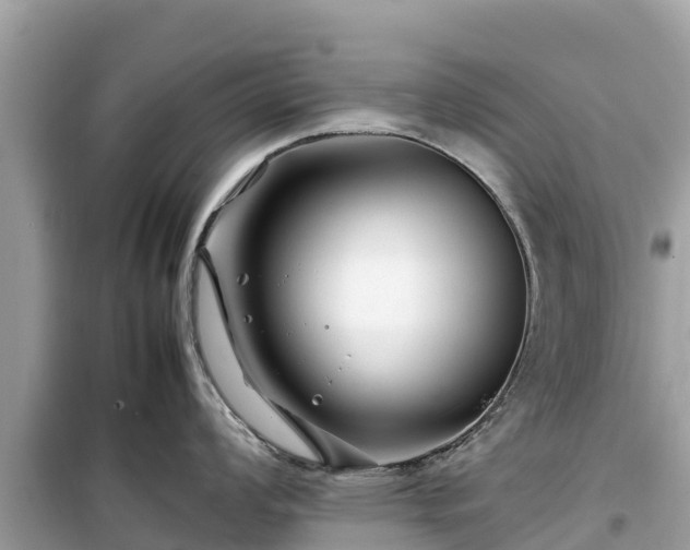 X0000099511008200805221418