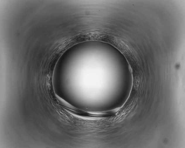 X0000099511010200805221417