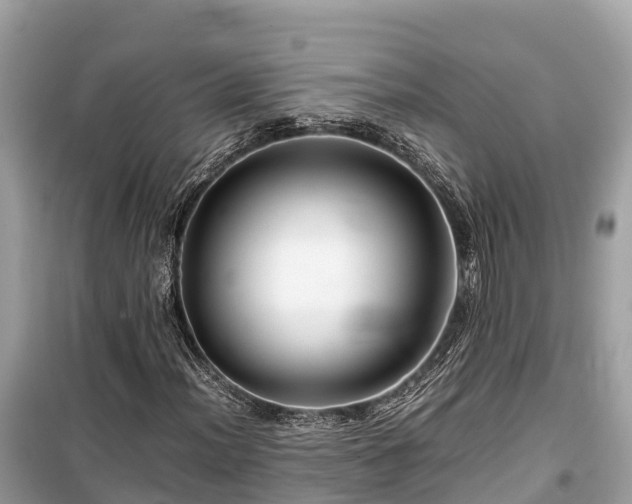 X0000099511012200805221417