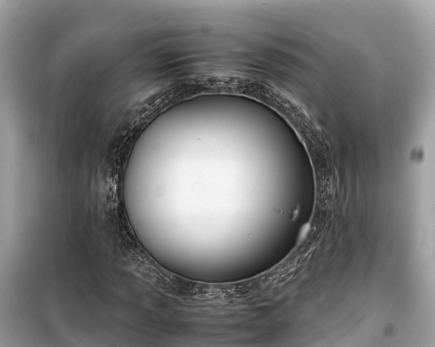 X0000099511013200805221417