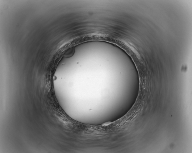 X0000099511015200805221417