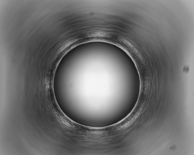 X0000099511017200805221417
