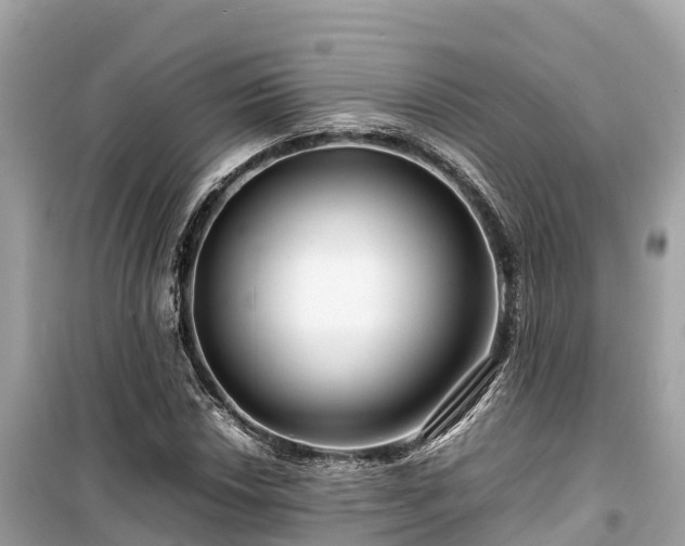 X0000099511018200805221417