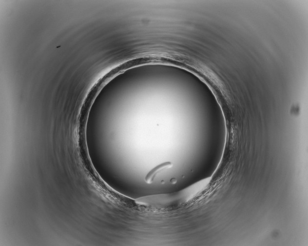 X0000099511020200805221417
