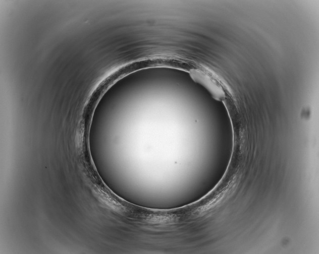 X0000099511021200805221417