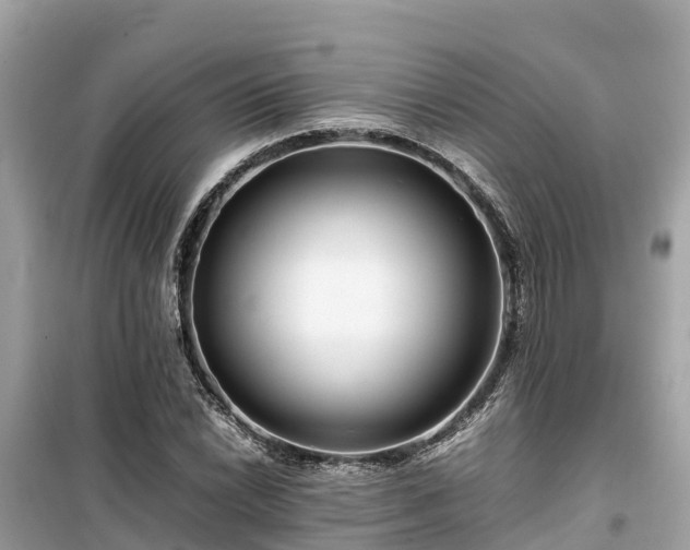 X0000099511022200805221417