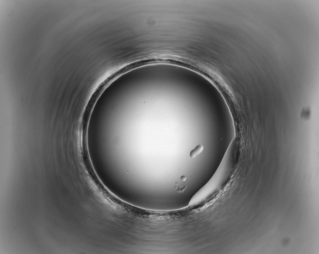 X0000099511032200805221417