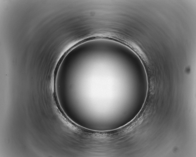 X0000099511036200805221417