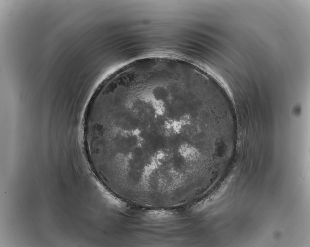 X0000099511037200805221417