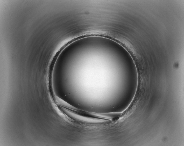 X0000099511038200805221417