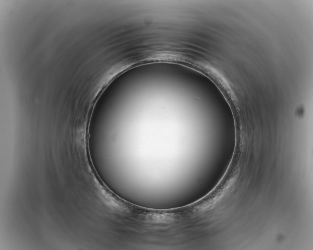 X0000099511041200805221418