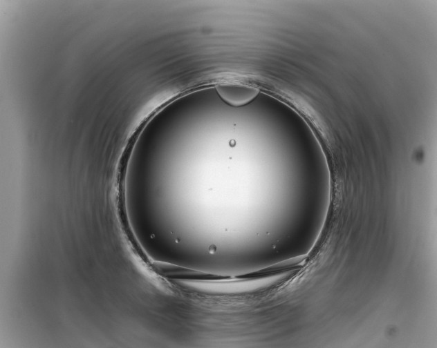 X0000099511042200805221418
