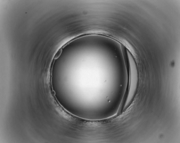 X0000099511044200805221418
