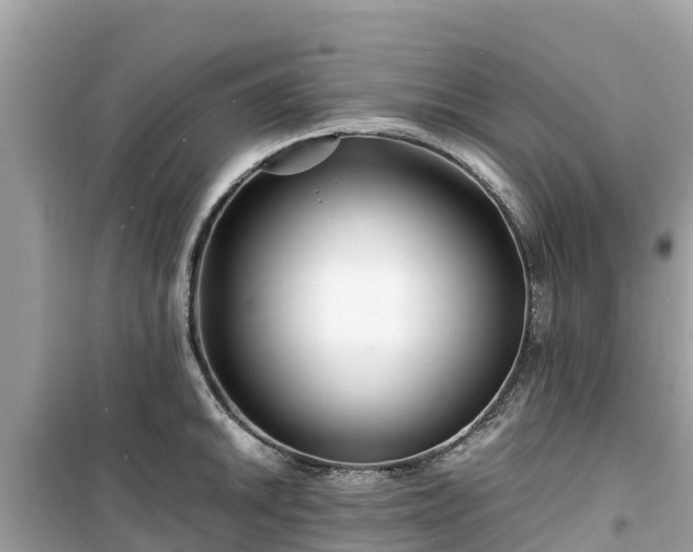 X0000099511046200805221418