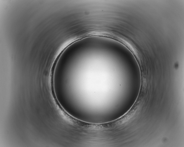 X0000099511050200805221418