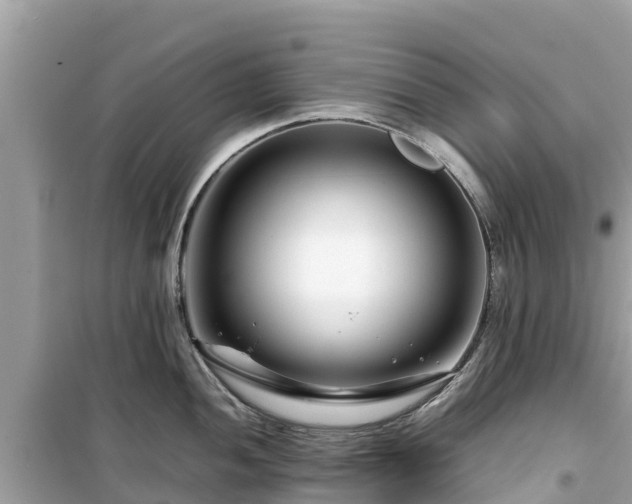 X0000099511052200805221418