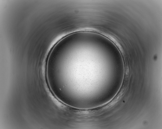 X0000099511054200805221418