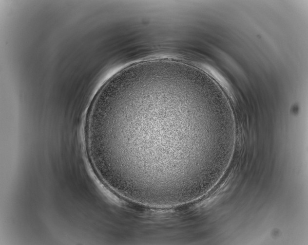 X0000099511055200805221418