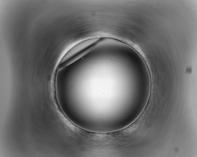 X0000099511056200805221418