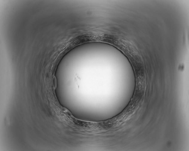 X0000099511057200805221417