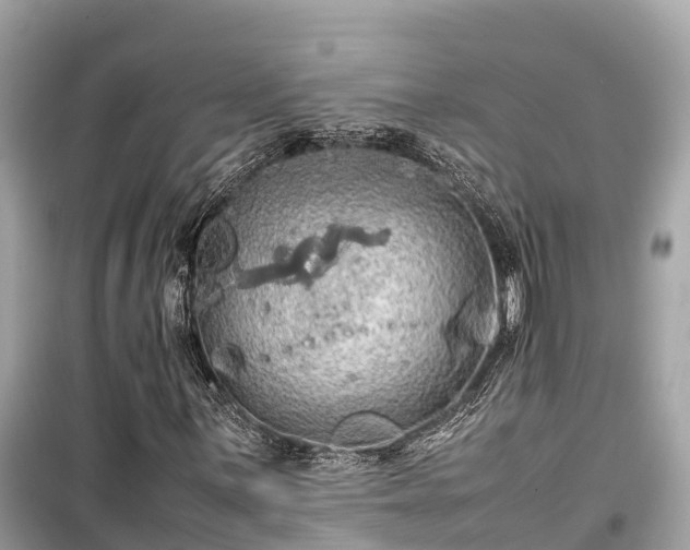 X0000099511059200805221417