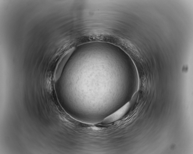 X0000099511060200805221417