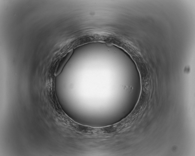 X0000099511061200805221417